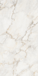 Керамогранит Arcadia Pratonix Beige Carving Pro 60x120